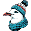Gull