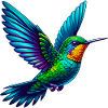 Hummingbird