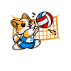 hoppa, tjäna, knarkare, rolig, corgi volleyboll, cool hund