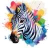 Zebra cool im bunten Design