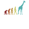 Giraffe Evolution Nubian African Giraffidae