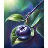 Belle myrtille sur une feuille