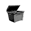 Waschbär Dumpster Diving Lebensmittelrettung