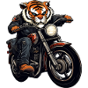 Tiger Moto / Motard Tiger