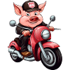 Cochons Moto / Motard Cochon