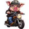 Cochon Moto / Motard Cochons
