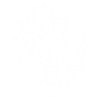 Mermaid Zombie Skeleton