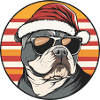 Bouledogue chien Noël cool