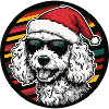 Caniche chien Noël cool