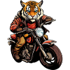 Tiger Moto / Motard Tiger