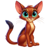 Abyssinian 5