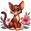Abyssinian 4