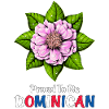 Rosa domenicana Bayahibe