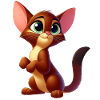 Abyssinian