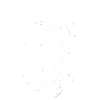 Skeleton Mermaid Mystic Creature