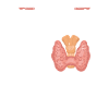 All Cool People Thyroid Noperatio