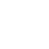 STUNT MAN