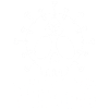 Virus skull