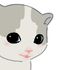 hehe kitten meme