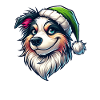 Australian Shepherd Christmas mischievous