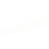 SECTION REPRESENTATIVE