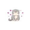 Katze