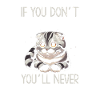 Katze
