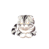 Katze