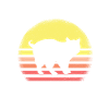 Katze