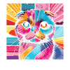 Katze