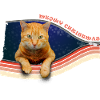 Funny Cat - Meowy Christmas