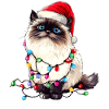 Himalayan Cat Christmas Hat Xmas
