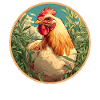Coq Coqs Coq