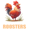 Rooster Hähne Hahn