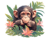Chimpanzee Schimpansen Schimpanse