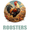 Rooster Hähne Hahn