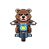 Die Bären-Saga - MOTORRAD
