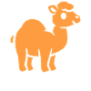 Dromedary