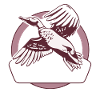 Duck Hunting To Hunt Successfully