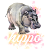 Cute Hippo Gifts