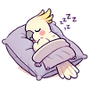 Sleepy Cockatoo Cozy Cartoon Design