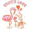 Exotic Love