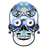 skull 1