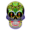 Skull 7