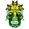 skull 6