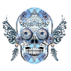 skull 12
