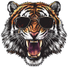 Roaring Tiger Sunglasses