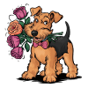 Airedale Terrier