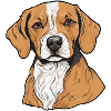 Hundehalter Hundesport Vierbeiner