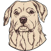 Hundehalter Welpen Hundeschule Hundefreund